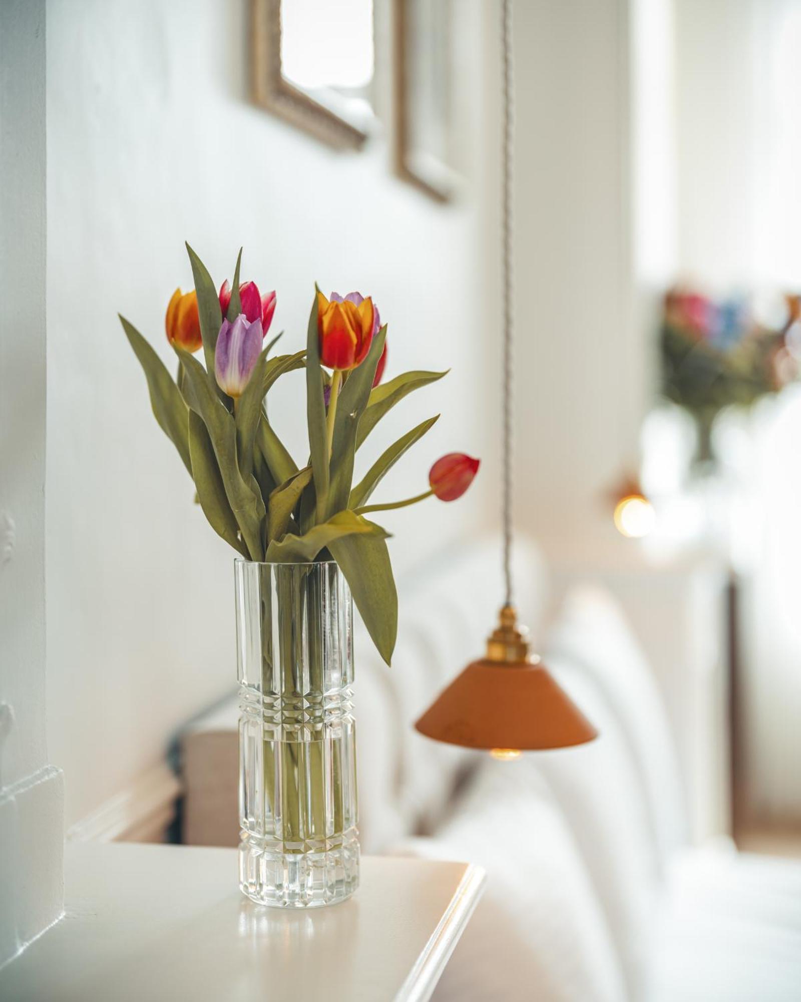 B&B Barabas Bruges Esterno foto